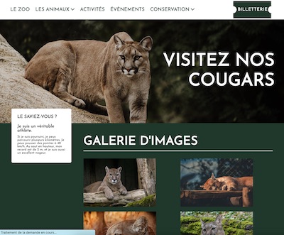 Site réalisé en HTML et CSS