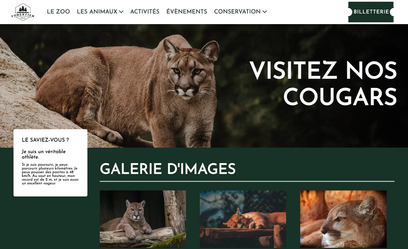 Site réalisé en HTML et CSS