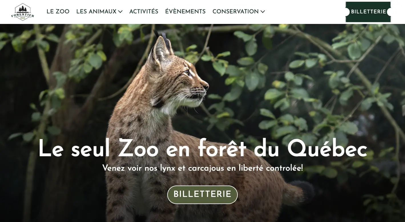 Site réalisé en HTML et CSS